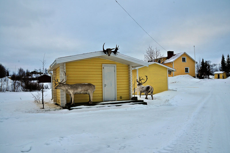 Norway, Sweeden, Finland, Scandinavia